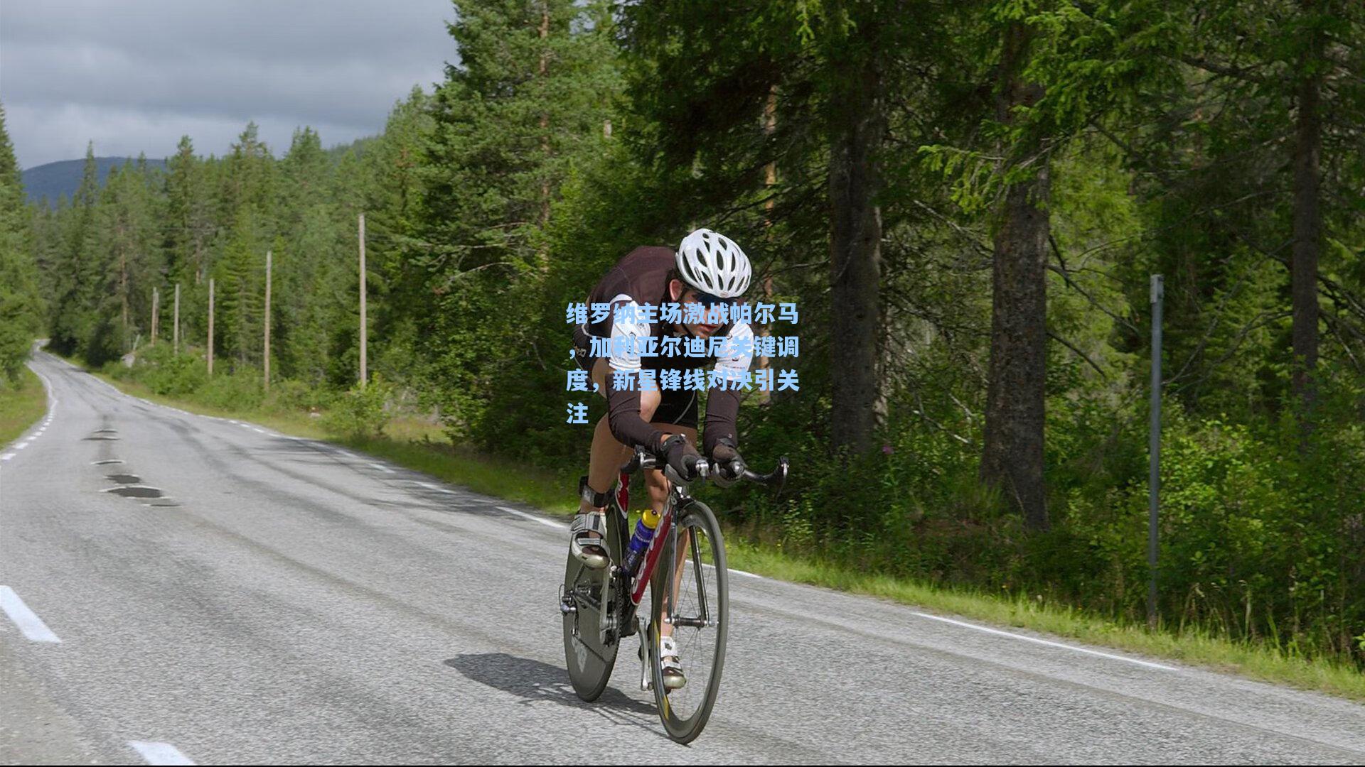 维罗纳主场激战帕尔马，加利亚尔迪尼关键调度，新星锋线对决引关注